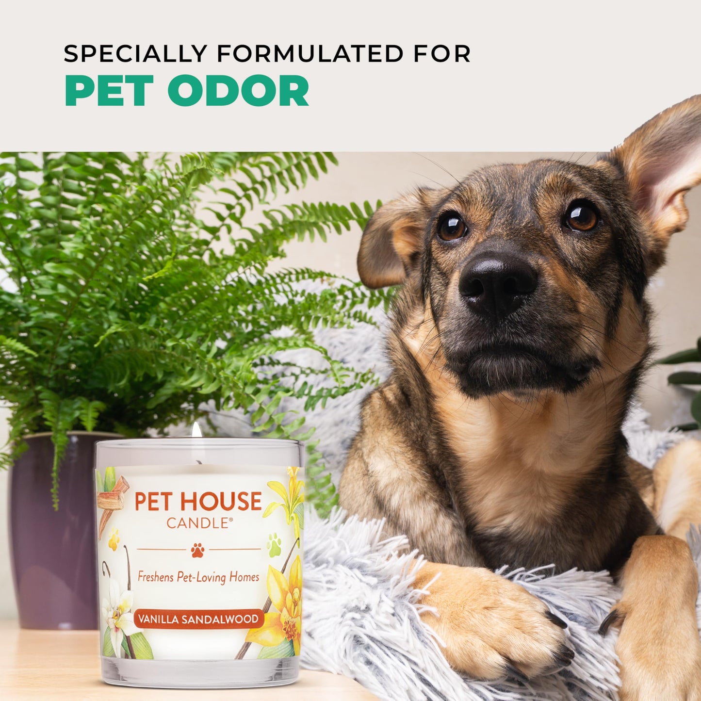 Pet House Candles, Plant-Based, Clean Burning, Long Lasting Pet Odor Candle for Home - Snow Cone