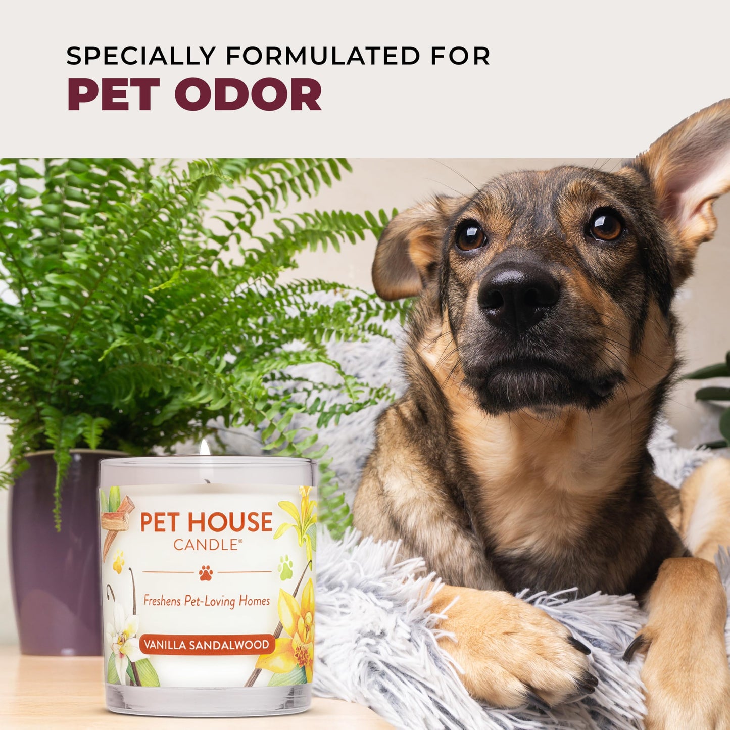 One Fur All Pet Friendly Candle 2 Pack - Plant-Based, Soy Candles, Clean Burning, Long Lasting Pet Air Freshener for Home, 2 Pack, Falling Leaves and Autumn Harvest