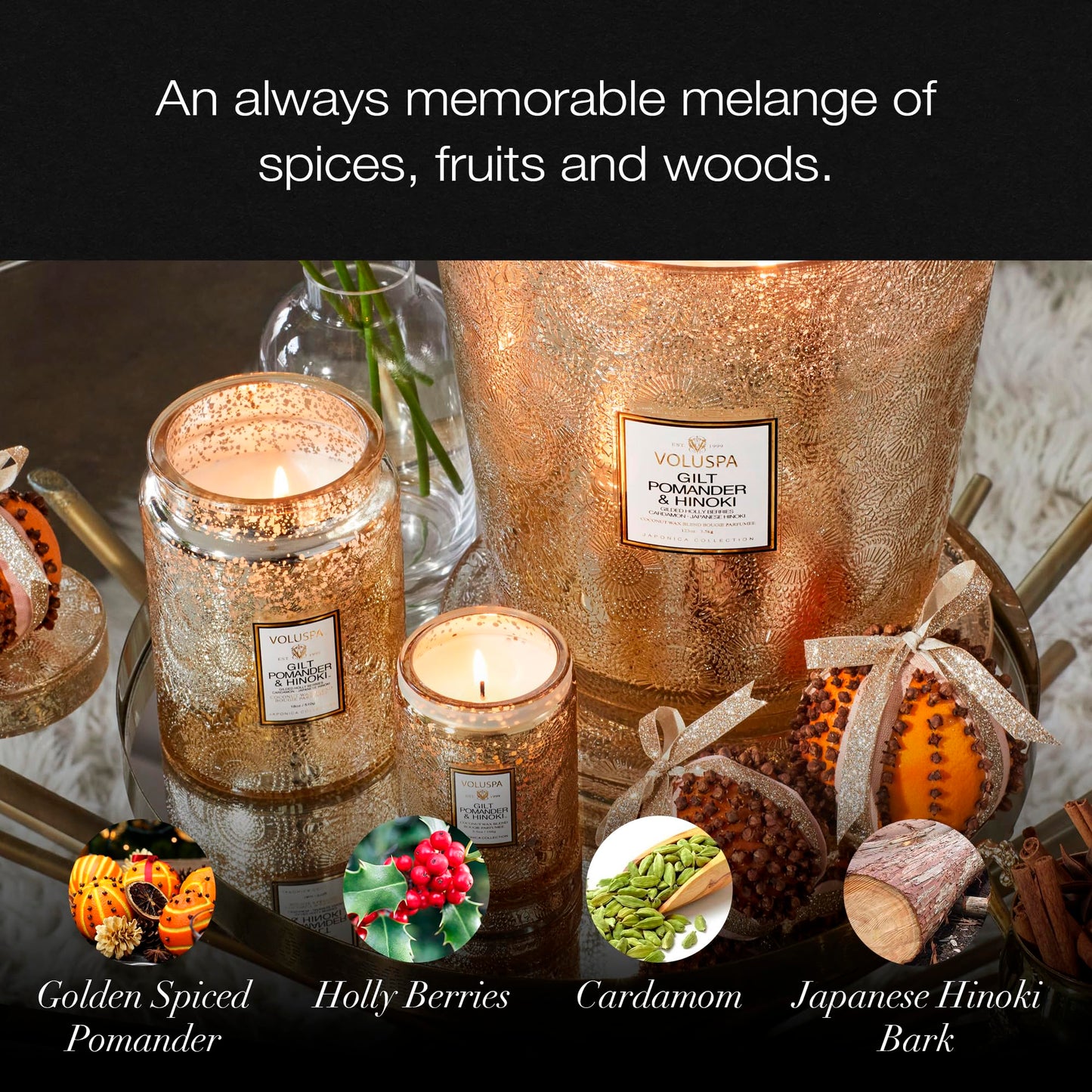 Gilt Pomander Hinoki, Large Candle Jar, 18 oz, 100 Hour Burn Time, Coconut Wax for Clean Burning, Handcrafted in the USA