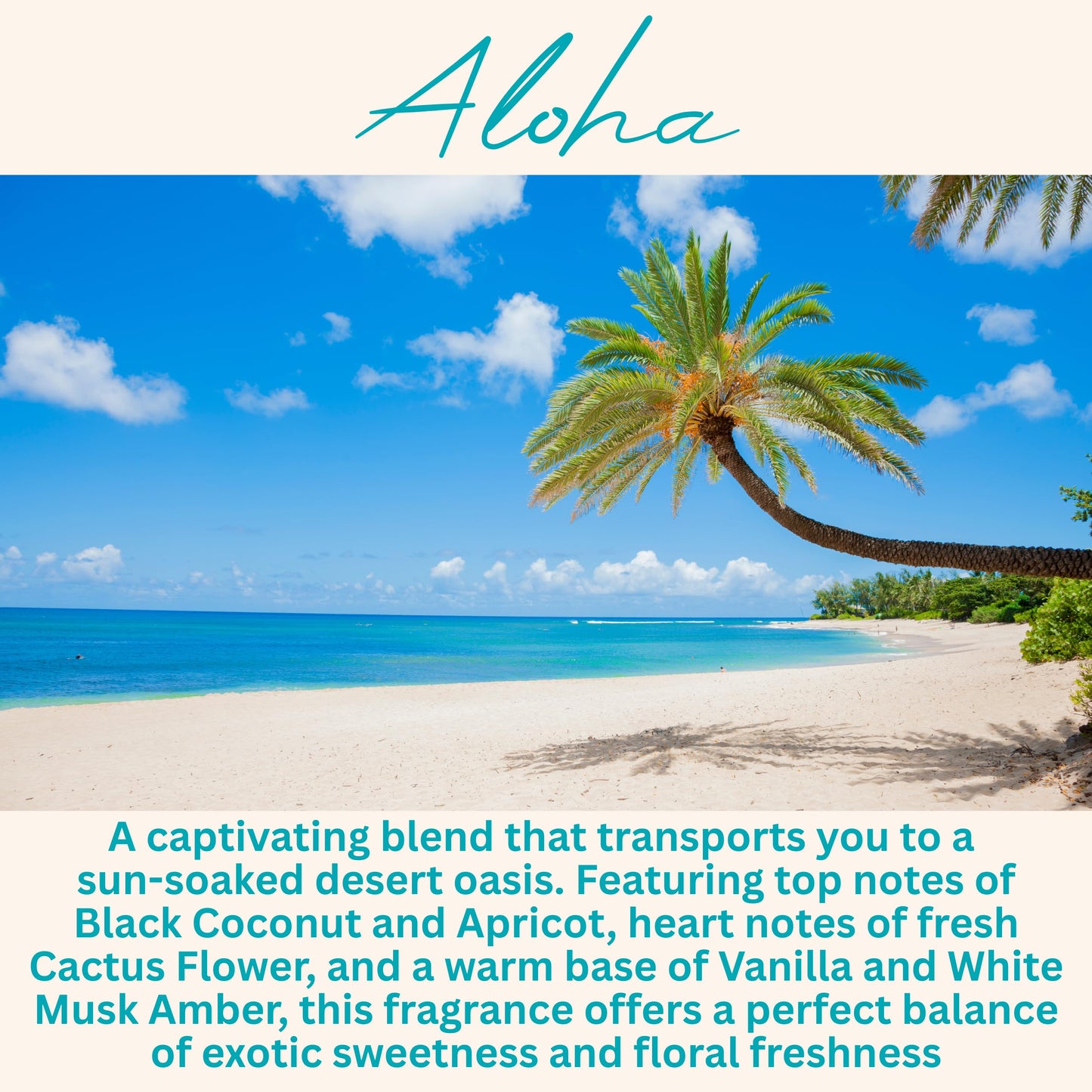 Aloha Cactus Blossom Scented Candle, Many Scents to Choose from, All Natural Non-Toxic Soy Wax, Handmade in The USA(Aloha)