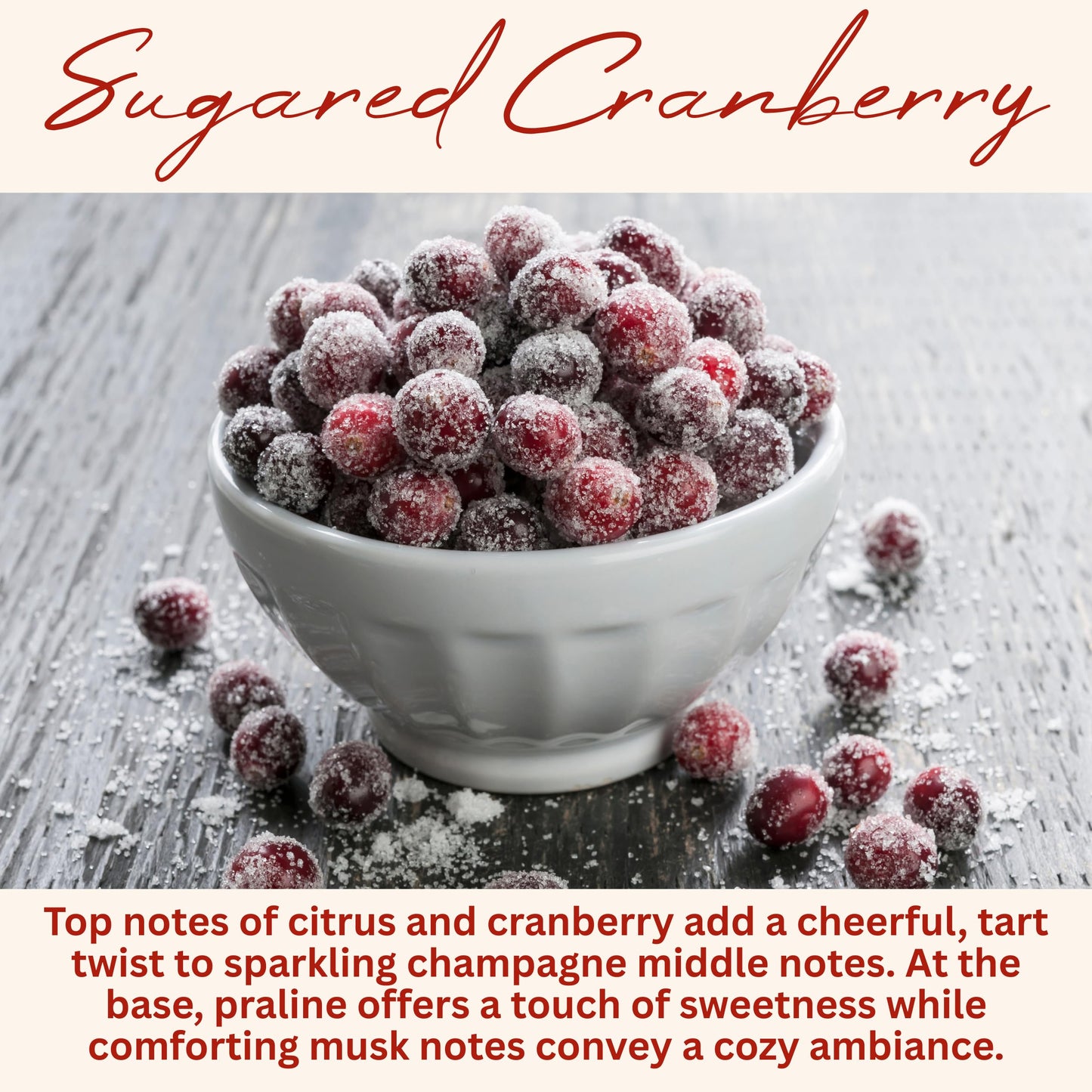 Wickless Sugared Cranberry Scented Candles for Candle Warmer Lamp, Many Scents to Choose, 100% Non-Toxic Soy Wax, Candle Melts for Warming Plate, Handmade in The USA (Sugared Cranberry)