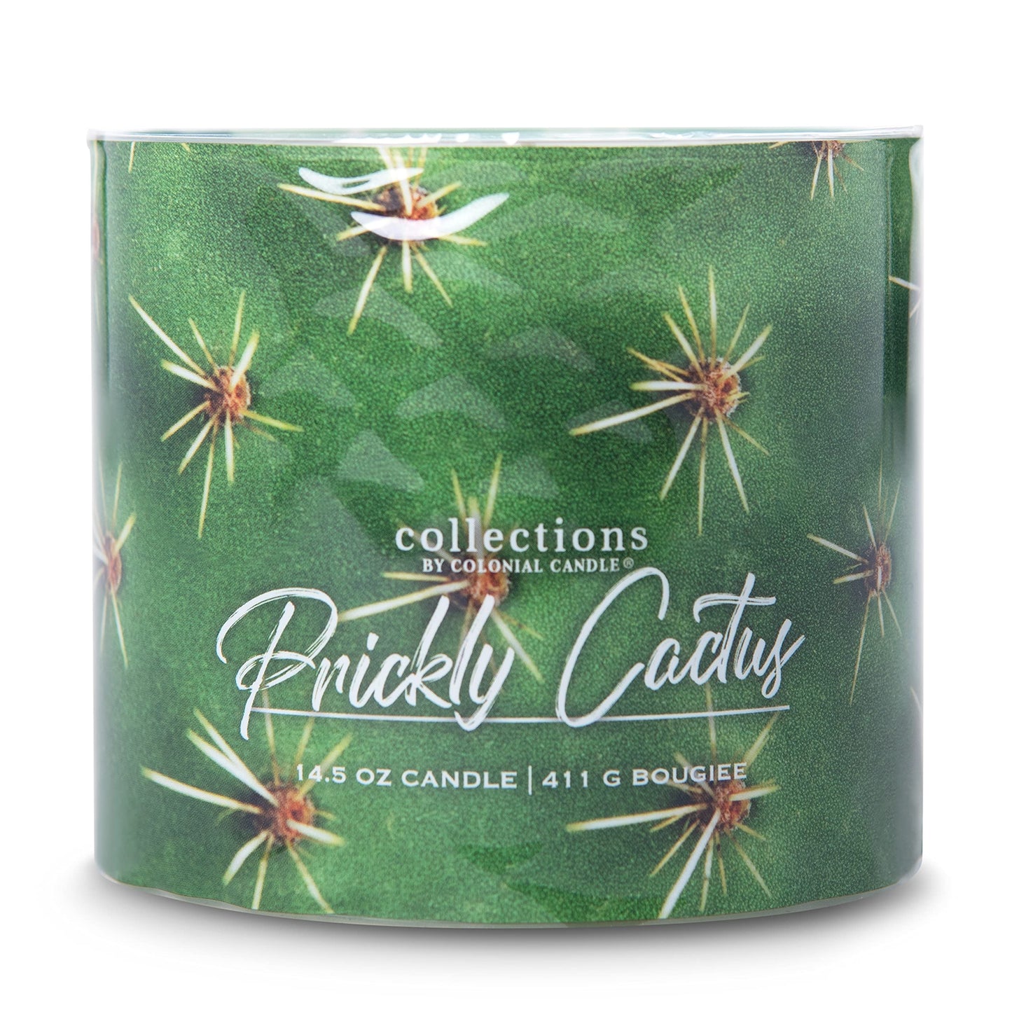 Colonial Candle Prickly Cactus Scented Jar Candle, Desert Collection, Purple, 3 Wick, 14.5 oz