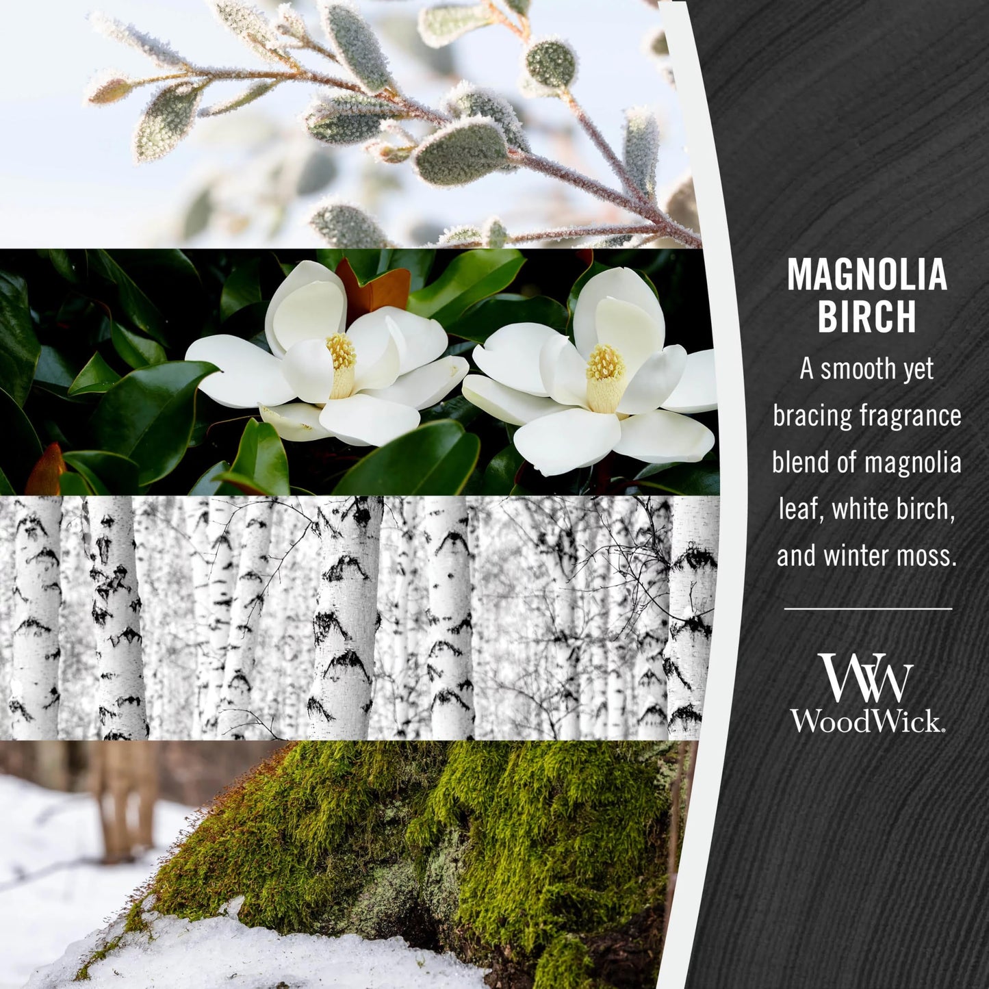 WoodWick Magnolia Birch Holiday Candle Gifts for Women and Men, 21.5 oz Large Hourglass Candle with Crackling Wick