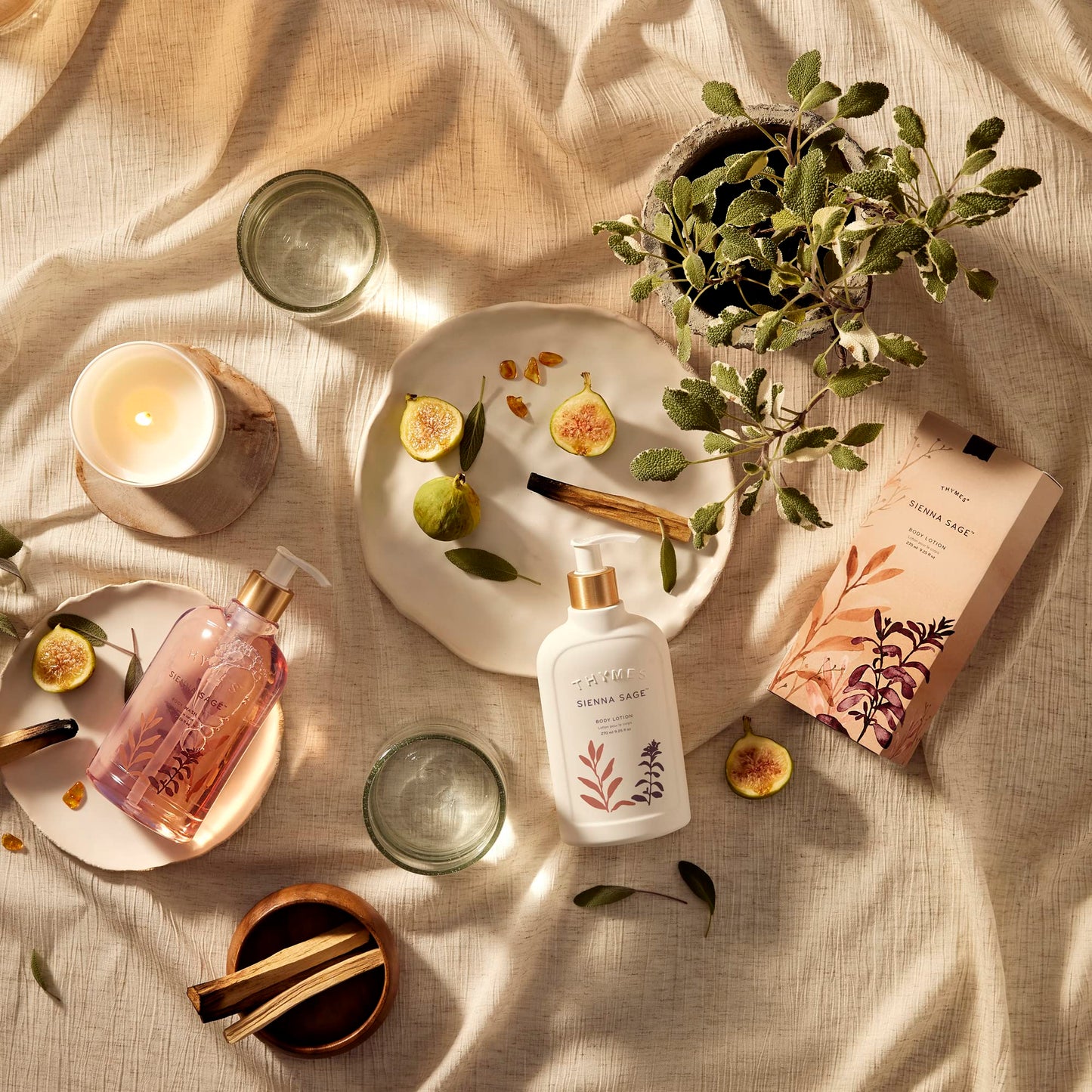 Thymes Aromatic Jar Candle - Sienna Sage Scented Candle for a Warm Home Fragrance - Notes of Palo Santo Wood, Clary Sage, and Amber - Matte White Candles (7.5 oz)