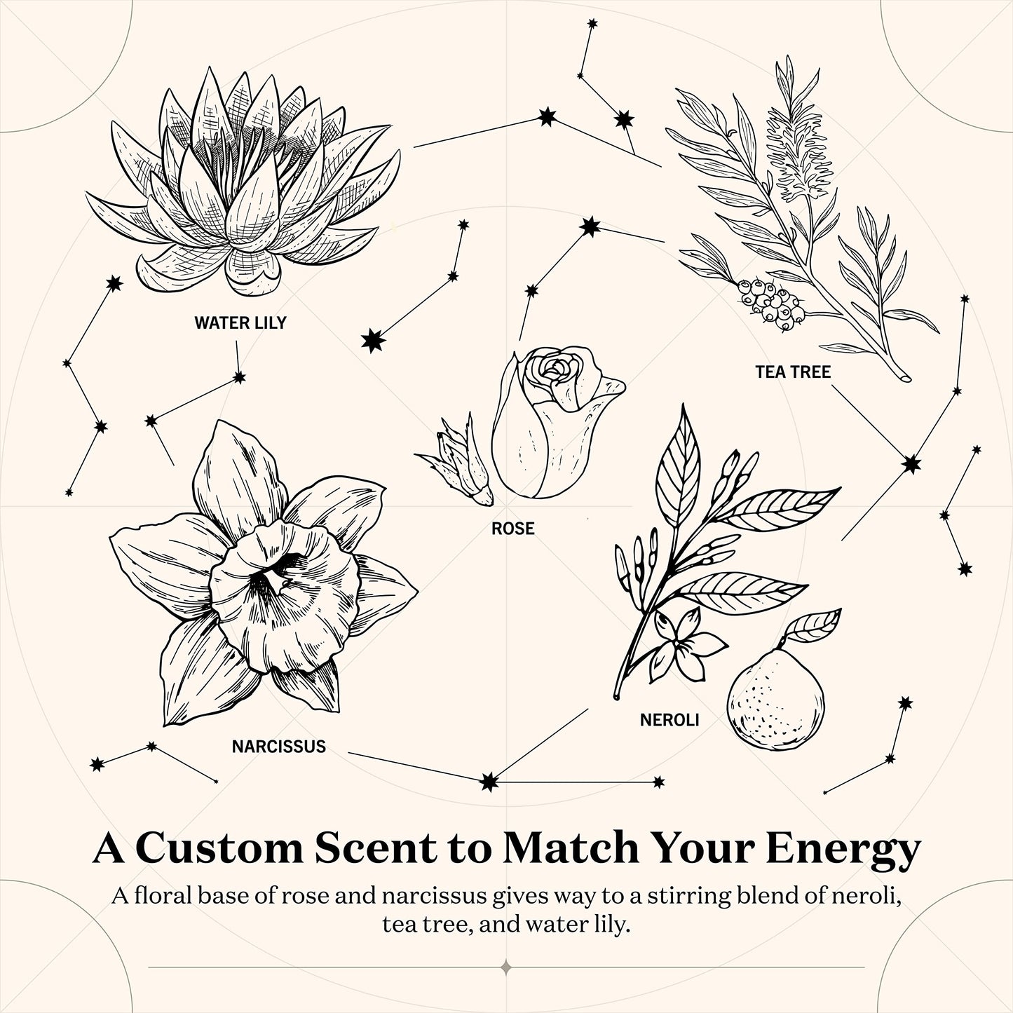 Birthdate Candles, December 1 - Sagittarius Zodiac Scented Candles Birthday Gift - Rose, Neroli & Water Lily Scent - All-Natural Soy & Coconut Wax, 60-80 Hour Burn Time - Made in USA