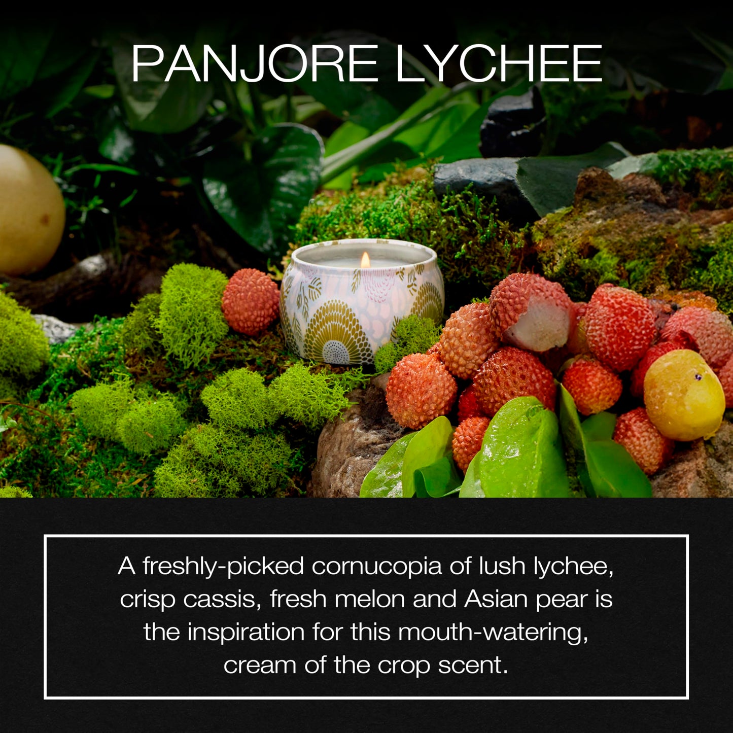 Voluspa Panjore Lychee Petite Tin Candle , 4 Ounces