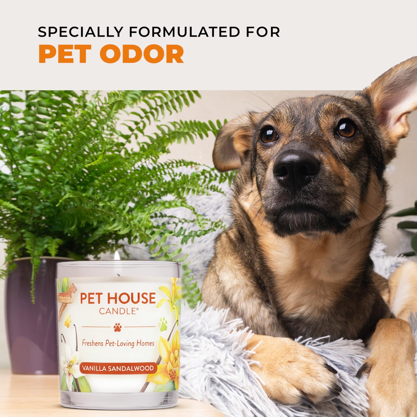Pet House Candles, Long Lasting, Air Freshening, Pina Colada Scented Candle for Pet Odor, 60 Hour Burn Time 9 OZ