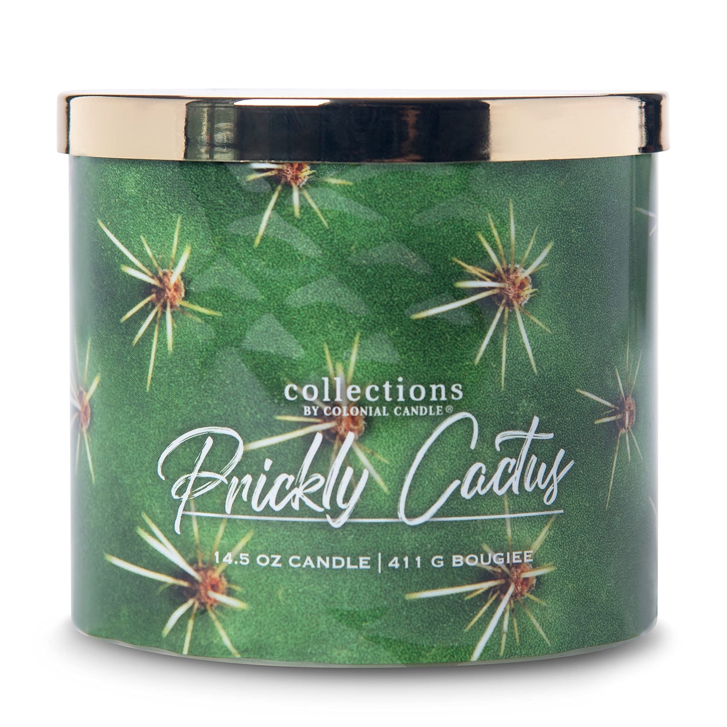 Colonial Candle Prickly Cactus Scented Jar Candle, Desert Collection, Purple, 3 Wick, 14.5 oz