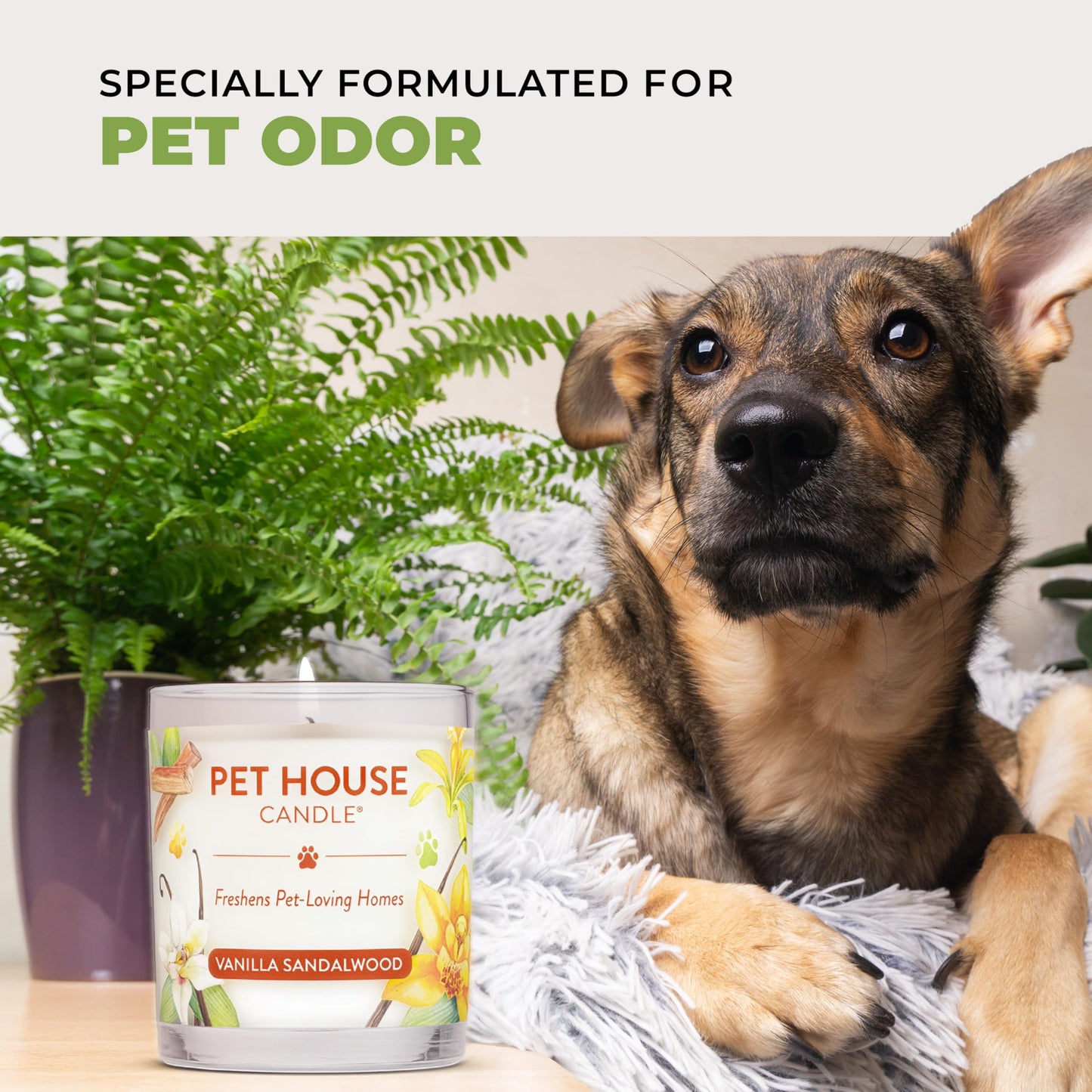 Pet House Candles, Long Burning Scented Candles for Pet Odors, Plant-Based, 60 Hour Burn Time - Lemongrass, 9 oz